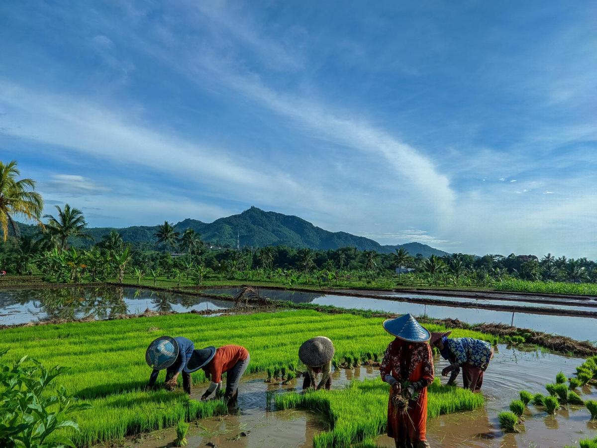 Farmstay Manangel Sindanglaka Buitenkant foto