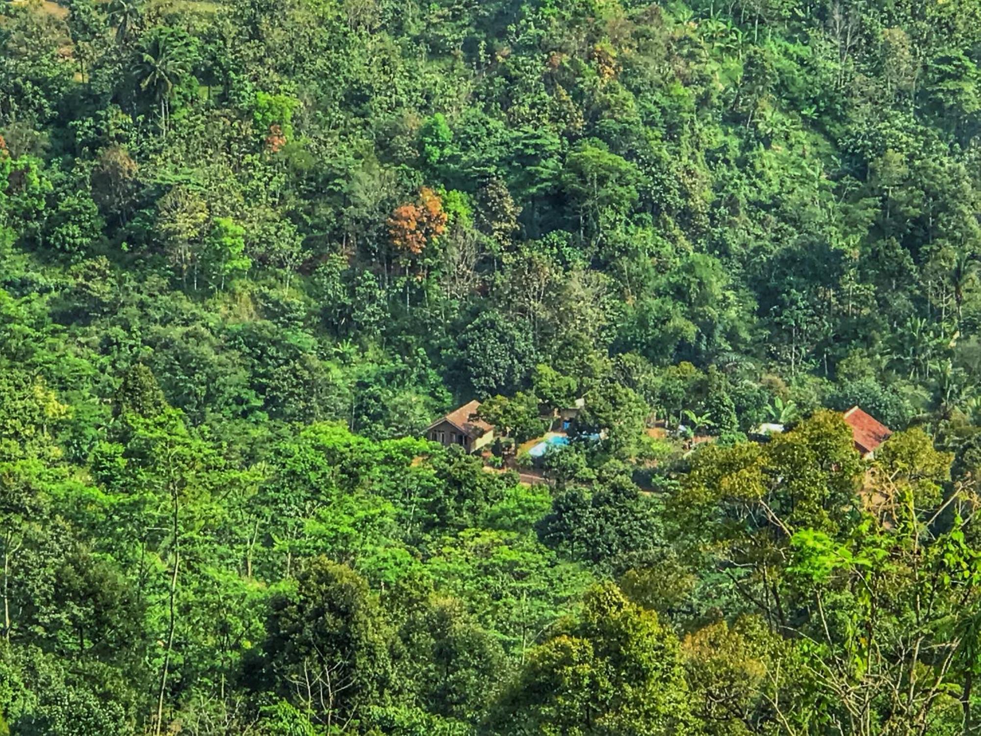 Farmstay Manangel Sindanglaka Buitenkant foto